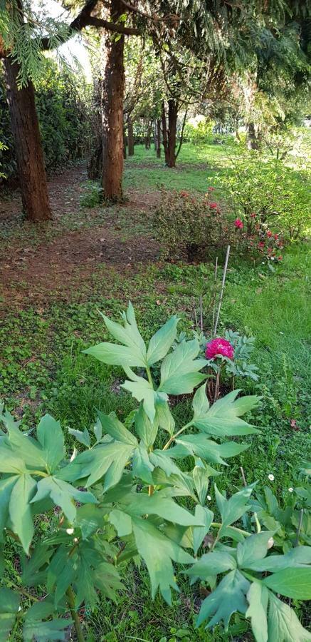 B&B Gloria Галларате Экстерьер фото
