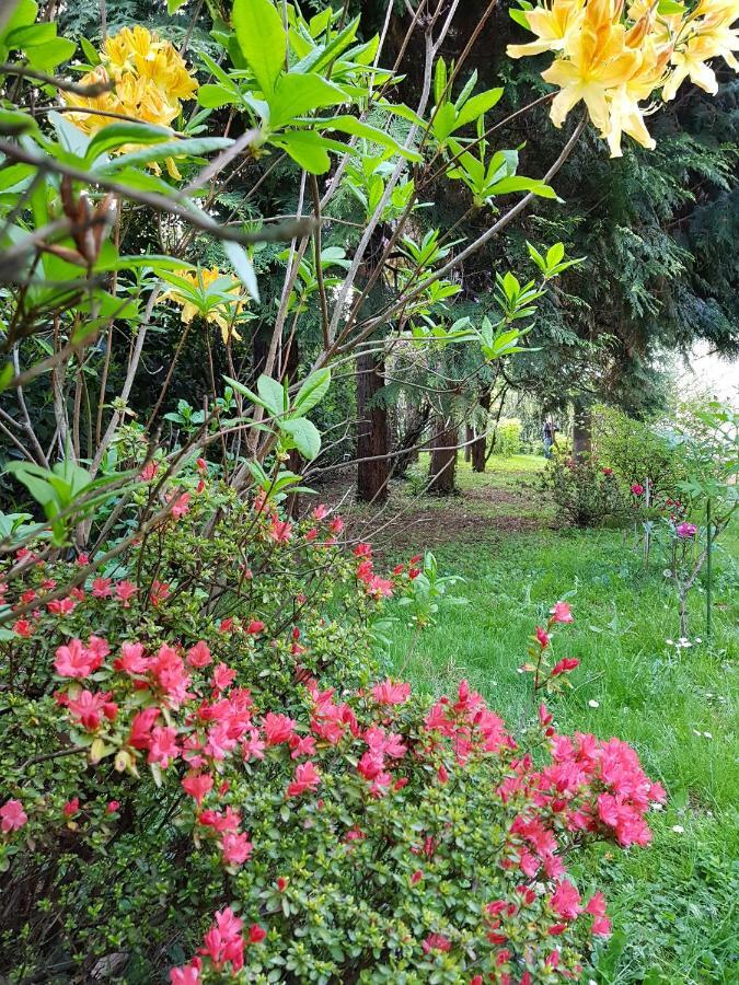 B&B Gloria Галларате Экстерьер фото